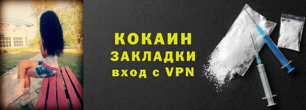 шишки Михайловск