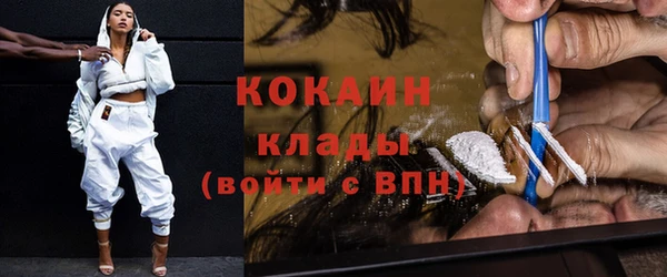 шишки Михайловск