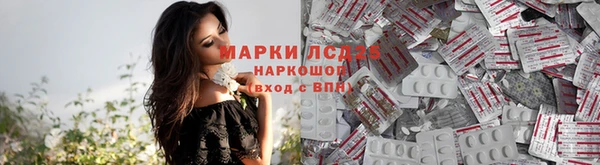 гашик Михайловка