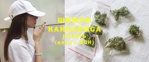 сатива Михайлов