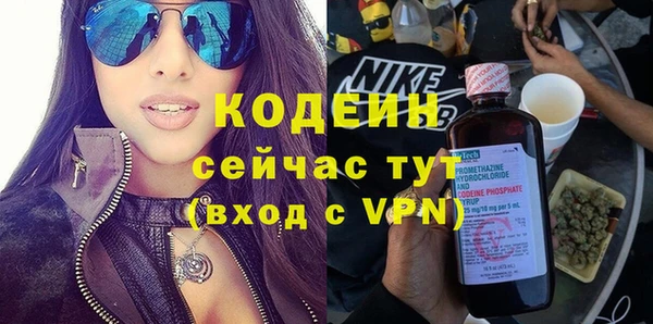 шишки Михайловск
