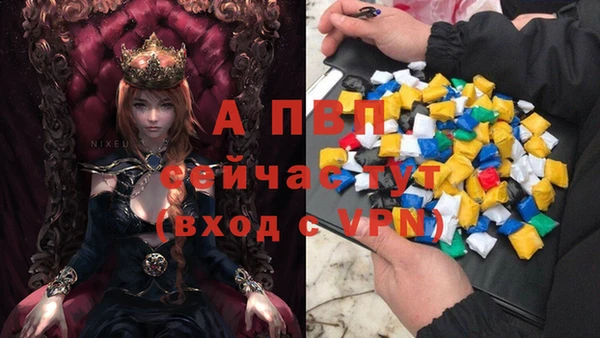 шишки Михайловск