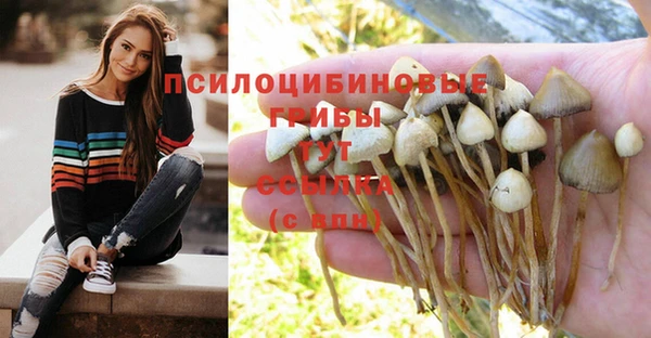 сатива Михайлов