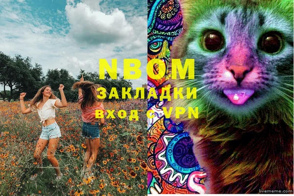 гашик Михайловка