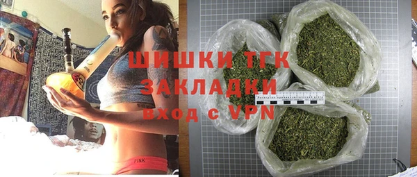 сатива Михайлов