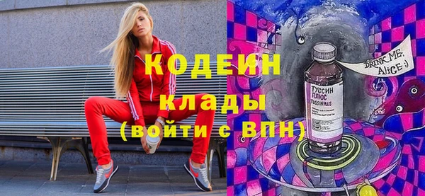 шишки Михайловск